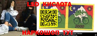 крисы Гай