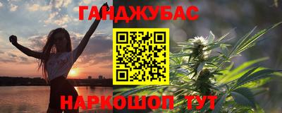 крисы Гай