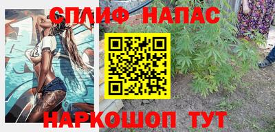 крисы Гай