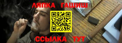 крисы Гай